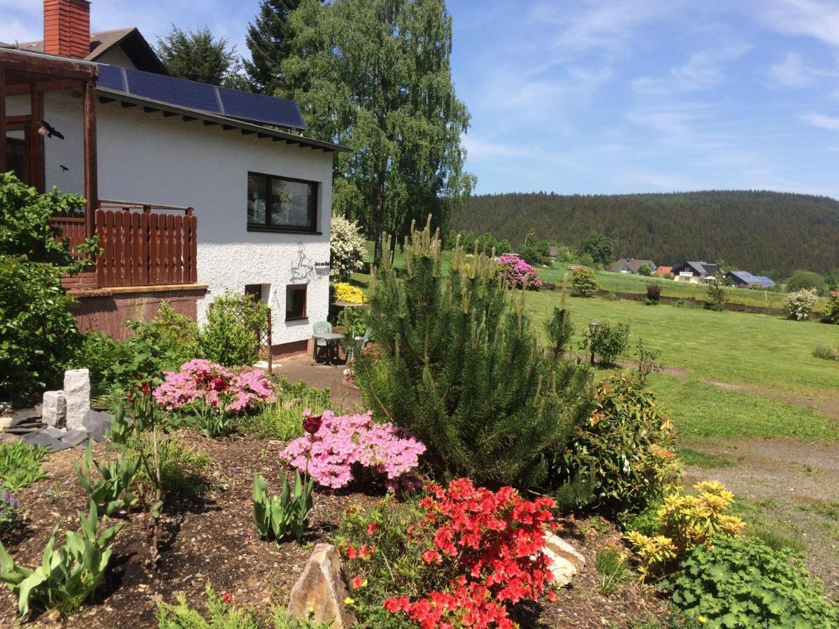 Апартаменты Haus Am Wald - Urlaub Am Nationalpark Langweiler  Экстерьер фото